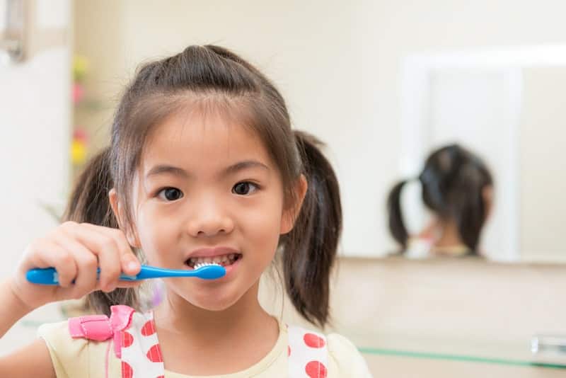 Trẻ nên dùng kem đánh răng khi bắt đầu ăn nhiều loại thức ăn